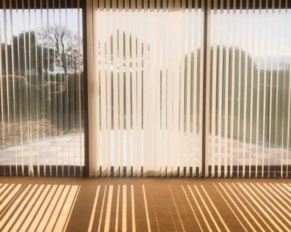 blinds (2)